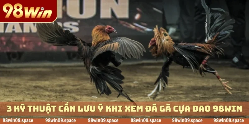 3 kỹ thuật cần lưu ý khi xem đá gà cựa dao 98WIN