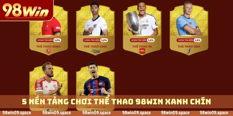 5 nền tảng chơi thể thao 98WIN xanh chín