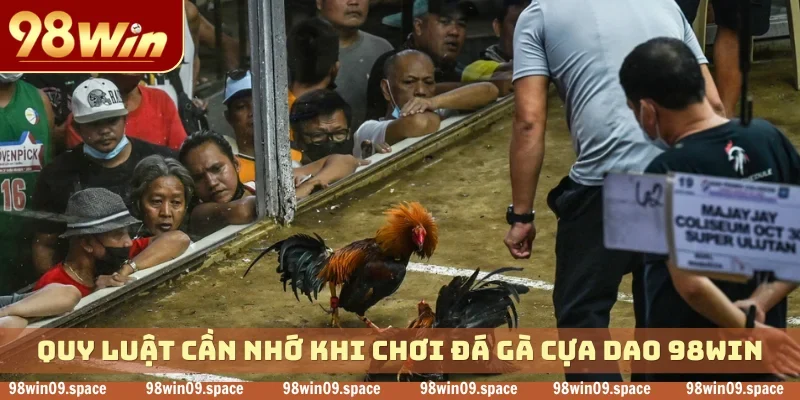Quy luật cần nhớ khi chơi đá gà cựa dao 98WIN