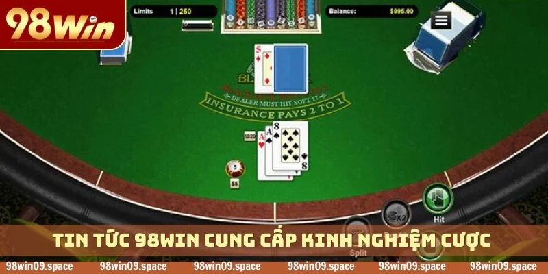 Tin tức 98WIN cung cấp kinh nghiệm cược